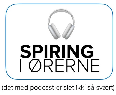 spiring i ørene.jpg